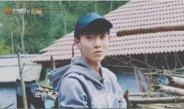 张迪爆料陈新颖视频全集,揭秘背后惊人内幕