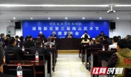 湖南新化新闻爆料电话,揭露真相，共建和谐社区